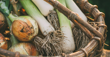 Is Organic food worth the expense?